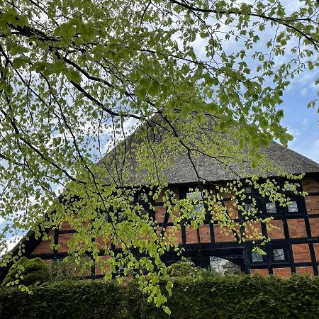 Ferienwohnung St. Dionyser Heidedorf Sankt Dionys Luaran gambar