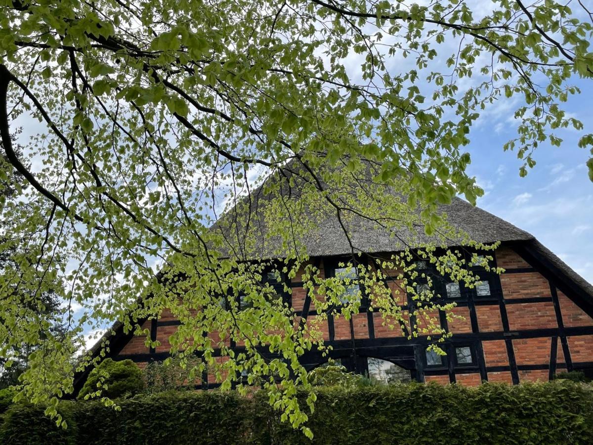 Ferienwohnung St. Dionyser Heidedorf Sankt Dionys Luaran gambar